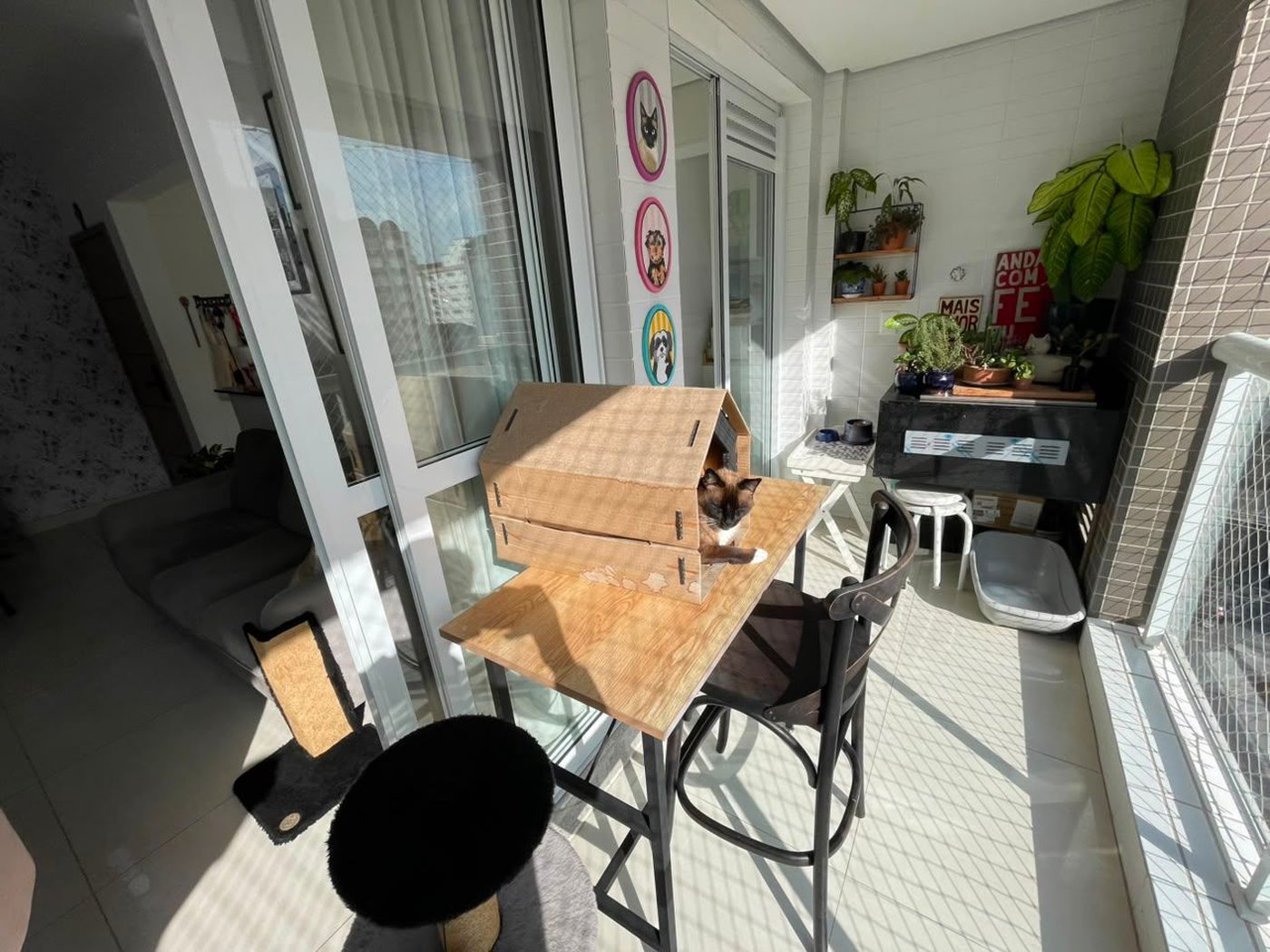 Apartamento com 2 dormitórios à venda, 74 m² por R$ 1.049.000,00 - Gonzaga - Santos/SP