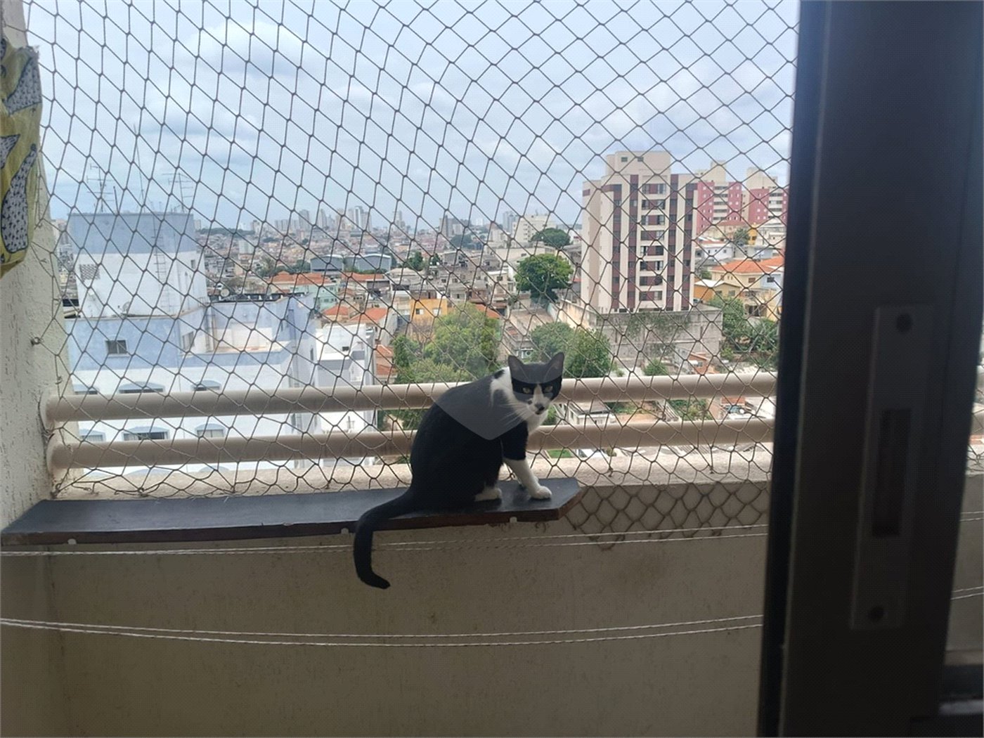 Apartamento à venda com 2 quartos em Imirim, São Paulo, SP