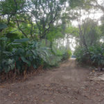 Área de Terra à venda em Éden, Sorocaba, SP