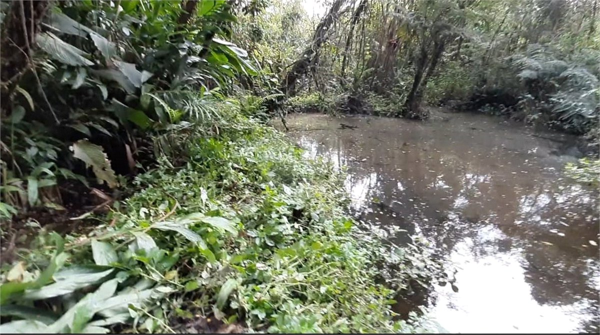 Chácara à venda com 3 quartos, sendo 1 suíte,  em Taiaçupeba, Mogi das Cruzes, SP