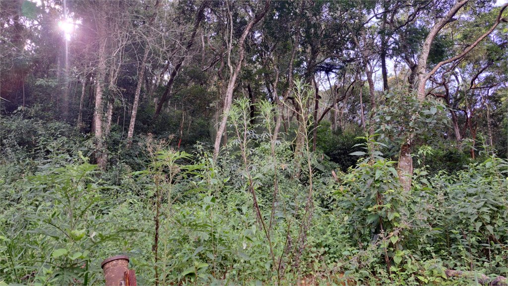 Terreno à venda em Terra Preta (terra Preta), Mairiporã, SP