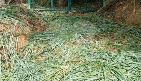 Terreno à venda em Vale Verde, Valinhos, SP