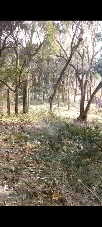 Terreno à venda em Luiz Fagundes, Mairiporã, SP