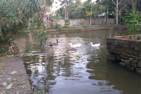 Sítio à venda com 5 quartos, sendo 2 suítes,  em Parque Recreio Dom Pedro Ii (guia de Pacobaíba), Magé, RJ