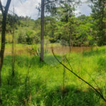 Terreno à venda em Vila Moraes, Mogi das Cruzes, SP