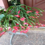 Chácara à venda com 4 suítes em Vale das Laranjeiras, Indaiatuba, SP