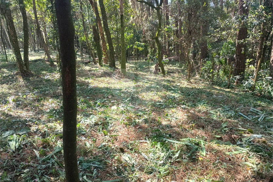 Terreno à venda no condomínio Jardim da Montanha I, Mairiporã - SP