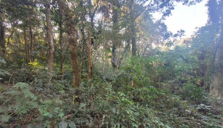 Terreno à venda no condomínio Alpes da Cantareira, Mairiporã - SP