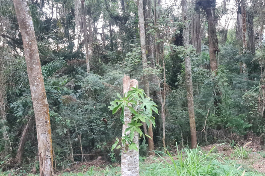 Condomínio à venda em Serra da Cantareira, Mairiporã, SP