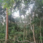 Condomínio à venda em Serra da Cantareira, Mairiporã, SP
