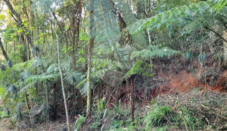 Terreno à venda no condomínio Itatiaia, Mairiporã - SP