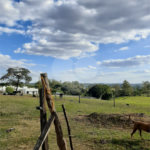 Área de Terra à venda em Chácaras Residenciais Santa Maria, Votorantim, SP