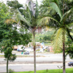 Sobrado à venda com 5 quartos, sendo 1 suíte,  em Jardim Villaça, São Roque, SP