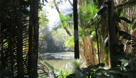 Terreno à venda em Chácara Flora, São Paulo, SP