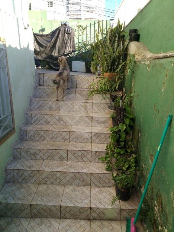 Casa Térrea à venda com 3 quartos, sendo 1 suíte, em Água Fria, São Paulo, SP