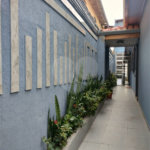 Casa à venda com 5 quartos em Vila Guilherme, São Paulo, SP