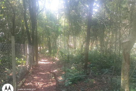 Terreno à venda em Dos Finco, São Bernardo do Campo, SP