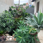 Casa à venda com 4 quartos em Vila Ipojuca, São Paulo, SP