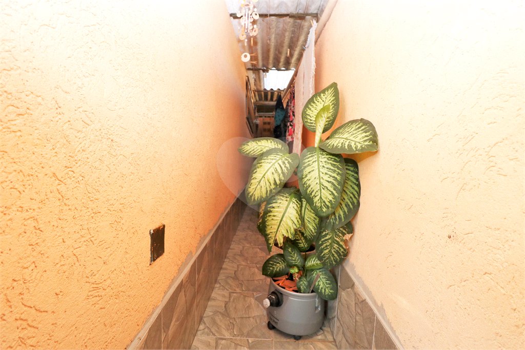 Casa à venda com 3 quartos em Vila Guilherme, São Paulo, SP