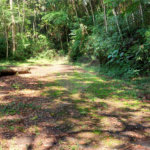Terreno à venda no condomínio Sausalito, Mairiporã - SP