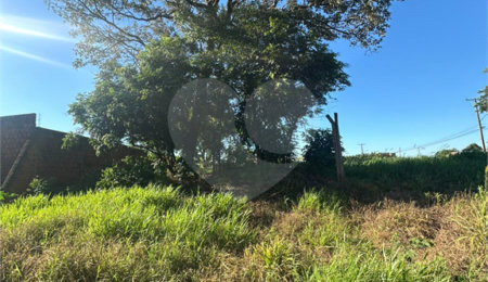 Terreno à venda em Pedro Juan Caballero, Amambay