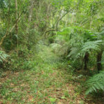 Terreno à venda em Vila Moraes, Mogi das Cruzes, SP