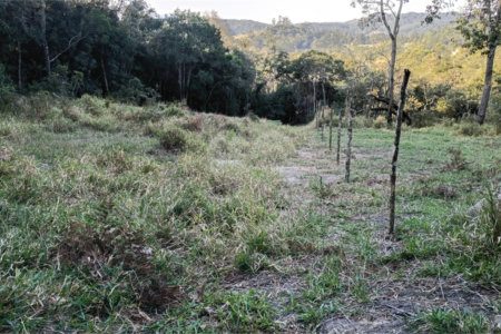 Terreno à venda em Vila Darcy Penteado (mailasqui), São Roque, SP