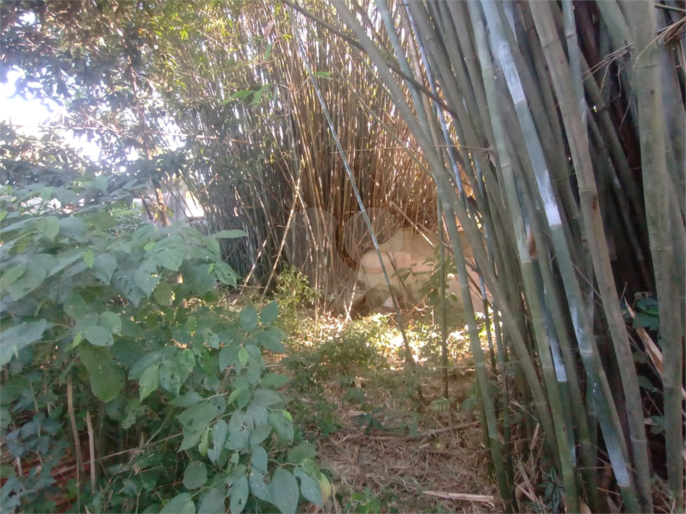 Terreno à venda em Vila Júlia, Poá, SP