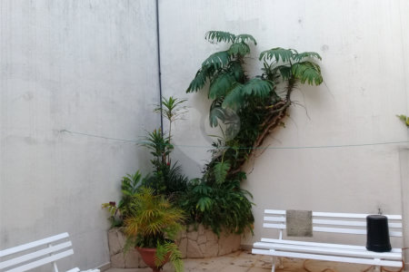 Sobrado à venda com 4 suítes em Água Fria, São Paulo, SP