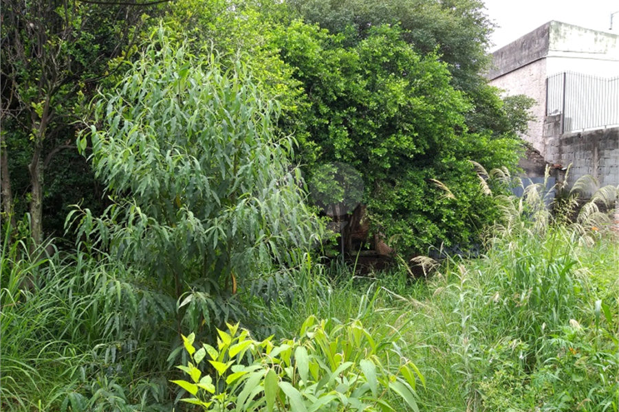 Terreno à venda em Tremembé, São Paulo, SP