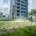 Apartamento à venda com 1 quarto em Pinheiros, São Paulo, SP
