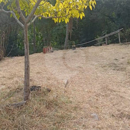 Área de Terra à venda em Jardim Cardoso (mailasqui), São Roque, SP