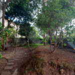 Apartamento à venda com 2 quartos em Lauzane Paulista, São Paulo, SP