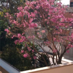 Casa à venda com 3 quartos, sendo 1 suíte, em Jardim Pirajussara, São Paulo, SP