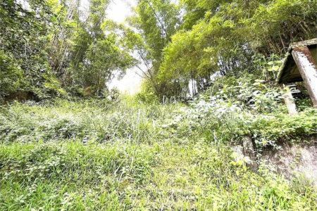 Terreno Residencial à venda, Morro de Nova Cintra, Santos - TE0034.