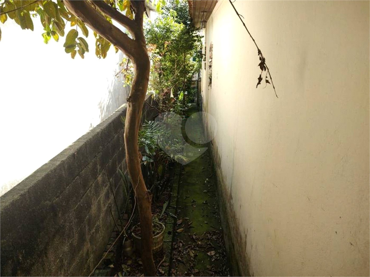 Casa à venda com 3 quartos em Vila Granada, São Paulo, SP