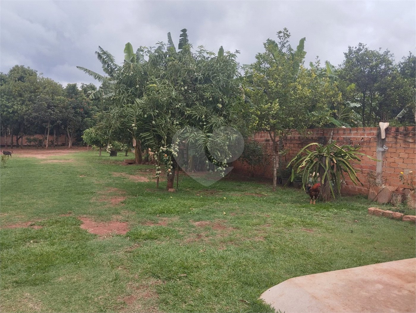 Chácara à venda com 3 quartos, sendo 1 suíte, em Chácara Flora Araraquara, Araraquara, SP