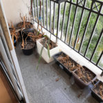 Apartamento à venda ou para alugar com 3 quartos, sendo 1 suíte,  em Vila Suzana, São Paulo, SP