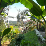 Casa à venda com 3 quartos, sendo 1 suíte, no Centro, Guararema, SP