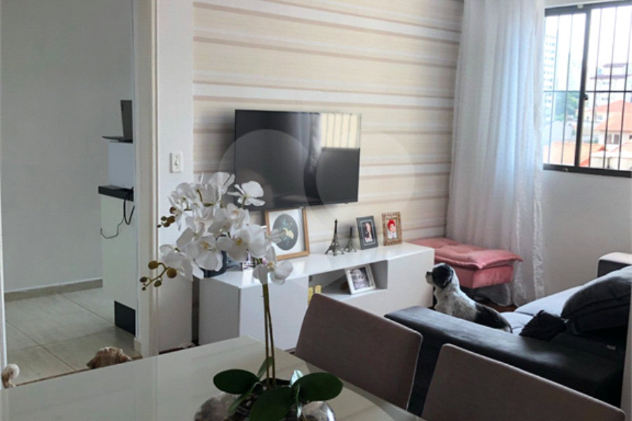 Apartamento à venda com 3 quartos, sendo 1 suíte,  em Parque Mandaqui, São Paulo, SP