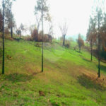 Fazenda à venda com 2 quartos em City Castello, Itu, SP