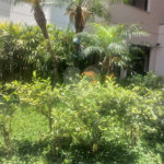 Apartamento à venda com 3 suítes em Vila Pompéia, São Paulo, SP