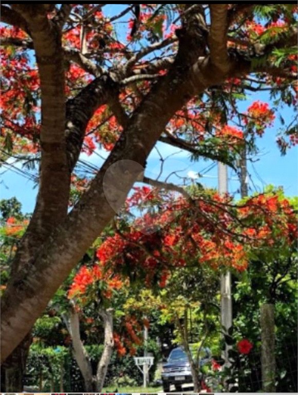Casa à venda com 3 quartos, sendo 2 suítes, em Rasa, Armação dos Búzios, RJ
