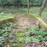 Terreno à venda no condomínio Associação Reserva das Hortênsias, Mairiporã - SP