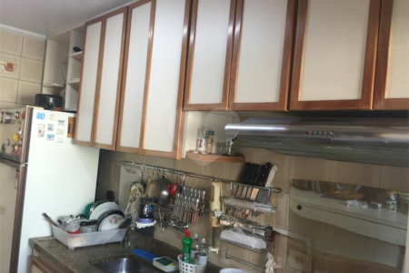 Apartamento à venda com 2 quartos em Vila Progredior, São Paulo, SP