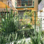 Casa à venda com 3 quartos, sendo 1 suíte, em Vila Mariana, São Paulo, SP