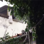 Terreno à venda em São Cristóvão, Rio de Janeiro, RJ