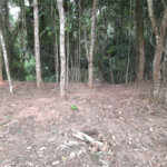 Loteamento à venda em Jardim Peri, São Paulo, SP