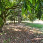 Terreno à venda em Dois Córregos, Piracicaba, SP