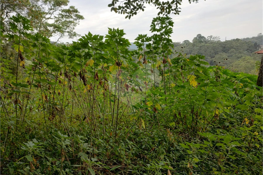 Terreno à venda em Barro Branco (zona Norte), São Paulo, SP